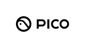 TikTok PICO
